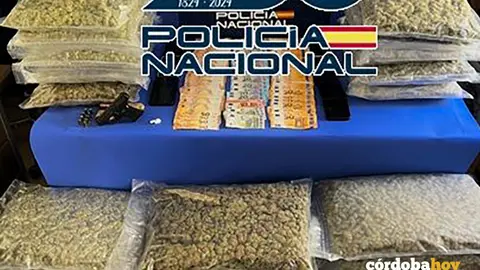 Droga incautada en la operaci&oacute;n 'C&aacute;lico/Feriada/Caudal' FOTO POLIC&Iacute;A NACIONAL