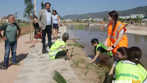 El humedal urbano construido en el Parque del canal FOTO AYUNTAMIENTO DE C&Oacute;RDOBA
