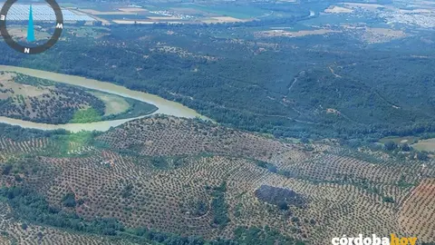 Imagen de la zona del incendio en Adamuz FOTO INFOCA