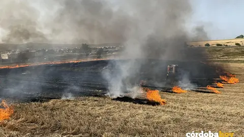 Incendio de pastos en la capital en los &uacute;ltimos d&iacute;as FOTO CORDOBAFIRE