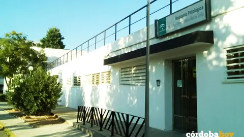 Anatom&iacute;a Patologica del Hospital Universitario Reina Sof&iacute;a de C&oacute;rdoba FOTO CCOO