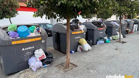 Contenedores llenos sin tapa en la calle Arcos de la Frontera de C c&oacute;rdoba FOTO FACUA
