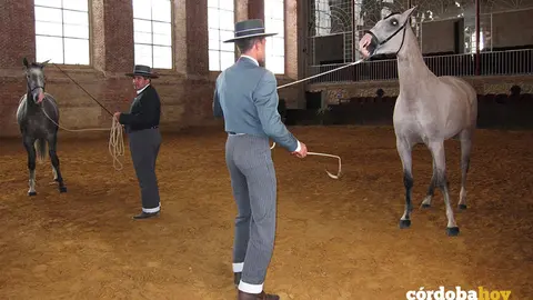 Adiestramiento de caballos en las Caballerizas Reales de C&oacute;rdoba., en una imagen de archivo FOTO EUROPA PRESS