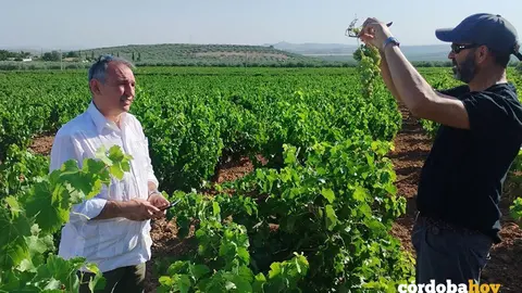 Enrique Santiago (izquierda), durante su visita a los vi&ntilde;edos de Montilla FOTO IU