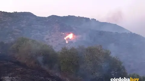 Incendio de la Sierra de C&oacute;rdoba,  en una imagen de ayer por la tarde FOTO INFOCA