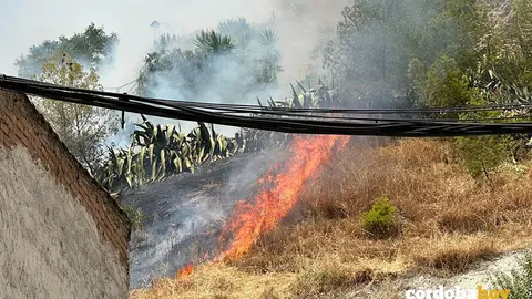 Incendio en Baena FOTO VOX