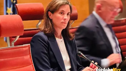 La senadora cordobesa por el PP y portavoz de la comisi&oacute;n de Pol&iacute;ticas Integrales de Discapacidad Cristina Casanueva FOTO PP