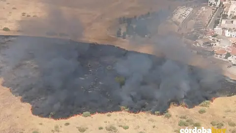 El incendio Forestal de San Rafael de la Albaida FOTO INFOCA