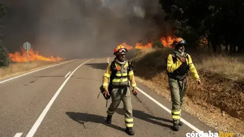 Bomberos forestales trabajan para extinguir el incendio en Molezuelas de la Carballeda, Zamora FOTO EMILIO FRAILE / EUROPA PRESS