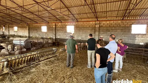 Visita de Ram&oacute;n Fern&aacute;ndez-Pacheco a explotaciones ganaderas del Norte de C&oacute;rdoba para conocer la incidencia de la lengua azul den el ganado FOTO JUNTA DE ANDALUC&Iacute;A