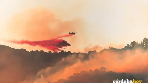 Avioneta que particip&oacute; en las labores de extinci&oacute;n del incendio en la Sierra de C&oacute;rdoba el pasado mes de julio FOTO CORDOBAFIRE