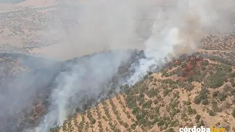 El incendio en Villanueva del Rey, en una imagen de archivo FOTO OPERATIVO INFOCA