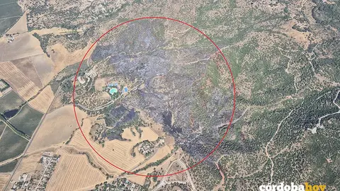 Imagen a&eacute;rea del incendio forestal que afect&oacute; al entorno dal Castillo de la Albaida de C&oacute;rdoba el pasado julio FOTO PLAN INFOCA