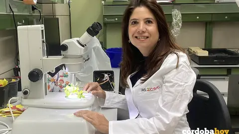 La investigadora del Instituto de Agricultura Sostenible (IAS) y autora principal del estudio, Sara Fondevilla FOTO JUNTA DE ANDALUC&Iacute;A
