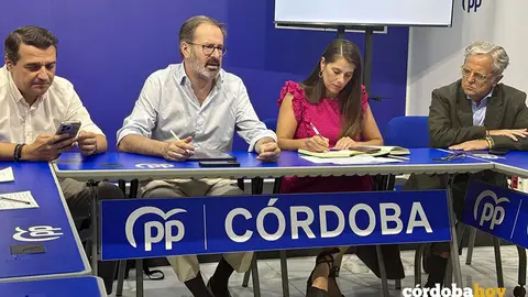 El presidente del PP de C&oacute;rdoba en la reuni&oacute;n del Comit&eacute; de Direcci&oacute;n provincial FOTO PP