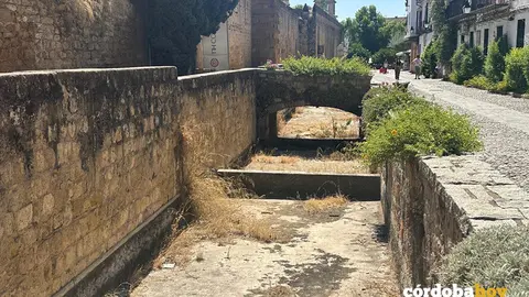 La fuente de la Muralla de la Medina seca y con jaramagos FOTO HACEMOS C&Oacute;RDOBA