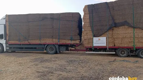 La Diputaci&oacute;n env&iacute;a un cami&oacute;n de forraje para los ganadores extremos afectados por incendios FOTO DIPUTACI&Oacute;N DE C&Oacute;RDOBA