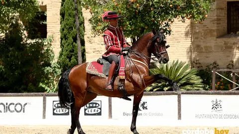 Alta Escuela Espa&ntilde;ola FOTO C&Oacute;RDOBA ECUESTRE