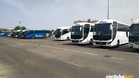 Algunos de los autobuses tur&iacute;sticos estacionados esta ma&ntilde;ana en El Arenal FOTO LA JUDER&Iacute;A EXISTE
