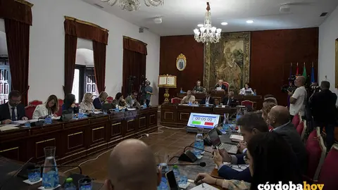 Pleno ordinario de septiembre de 2025 en la Diputaci&oacute;n de C&oacute;rdoba FOTO DIPUTACI&Oacute;N