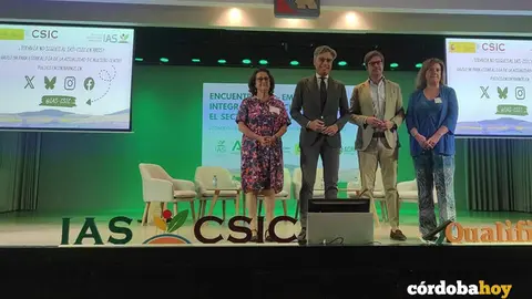 csic