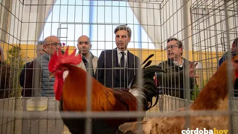 El delegado de Infraestructuras, Sostenibilidad y Agricultura de la Diputaci&oacute;n de C&oacute;rdoba, Andr&eacute;s Lorite, en una edici&oacute;n anterior de Avicor FOTO DIPUTACI&Oacute;N DE C&Oacute;RDOBA