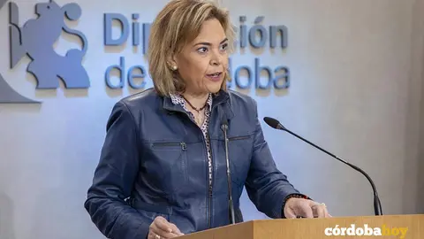 Diputaci&oacute;n