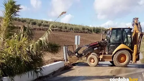 Trabajos de limpieza en una carretera provincial FOTO DIPUTACI&Oacute;N DE C&Oacute;RDOBA