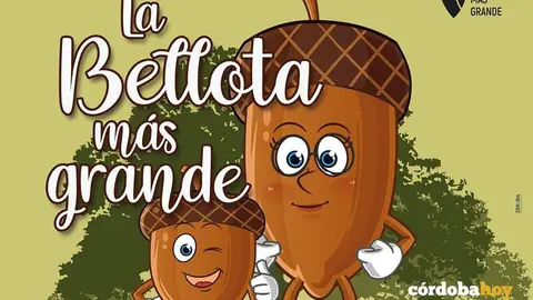 la bellota m&aacute;s grande