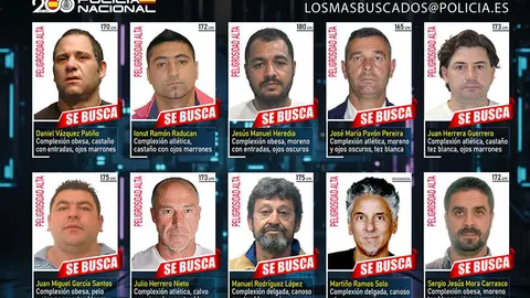 PLANTILLA copia