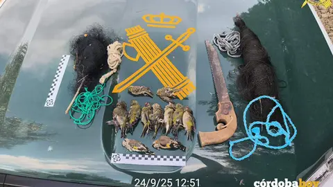 Parte del material y las aves incautadas por los agentes del Seprona en Santa Cruz FOTO GUARDIA CIVIL