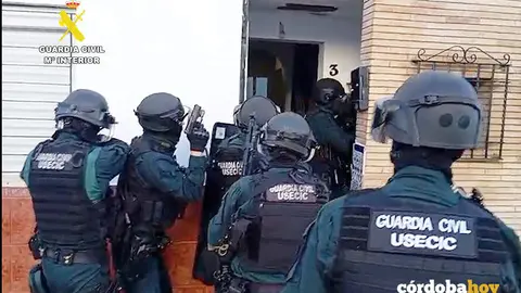 Operaci&oacute;n antidroga de la Guardia Civil en La Carlota FOTO GUARDIA CIVIL