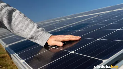 paneles solares