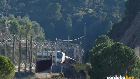 Imagen de la zona del accidente ferroviario con el tren Alvia accidentado FOTO JOAQU&Iacute;N CORCHERO / EUROPA PRESS