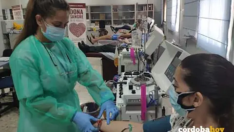 Recogida de sangre en el Centro de Transfusi&oacute;n de C&oacute;rdoba, en una imagen de archivo FOTO JUNTA DE ANDALUC&Iacute;A