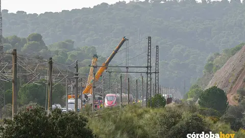 Trabajos de rescate de los convoyes involucrados en el accidente ferroviario de Adamuz FOTO FRANCISCO J. OLMO / EUROPA PRESS