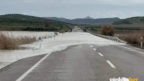 Corte de la carretera A-309, por el desbordamiento del arroyo Salado debido a la borrasca 'Joseph', en una imagen de archivo FOTO JUNTA DE ANDALUC&Iacute;A
