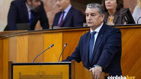 El consejero de Sanidad, Presidencia y Emergencias, Antonio Sanz, este jueves en un Pleno extraordinario del Parlamento FOTO FRANCISCO J. OLMO / EUROPA PRESS