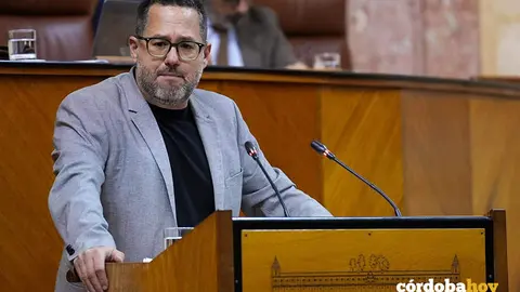 El portavoz del Grupo Mixto-Adelante Andaluc&iacute;a, Jos&eacute; Ignacio Garc&iacute;a, interviene en el Pleno del Parlamento andaluz FOTO FRANCISCO J. OLMO / EUROPA PRESS