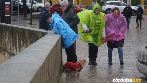TEMPORAL
