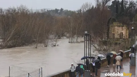 Curiosos contemplan la crecida del r&iacute;o Guadalquivir  su paso por C&oacute;rdoba, en una imagen de archivo