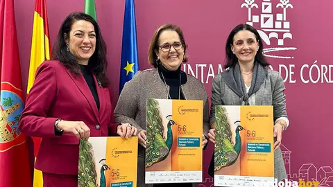 Presentaci&oacute;n del V Encuentro Profesional en el Sur FOTO AYUNTAMIENTO DE C&Oacute;RDOBA