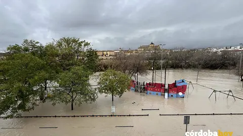 Ribera del Guadalquivir a su paso por C&oacute;rdoba capital, inundada al haber superado el r&iacute;o los cinco metros de crecida de caudal FOTO MADERO CUBERO / EUROPA PRESS