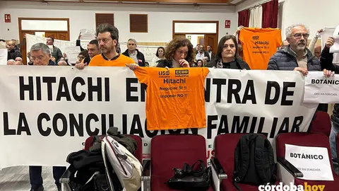 L&iacute;deres de CCOO y de la plantilla de Hitachi Energy en el Pleno ordinario de febrero