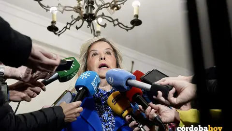 La fiscal superior de Andaluc&iacute;a, Ana T&aacute;rrago, en la reuni&oacute;n de la Junta de Fiscales Jefes Provinciales y de &Aacute;rea FOTO Eduardo Briones / Europa Press