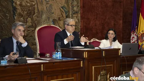 diputaci&oacute;n pleno 2
