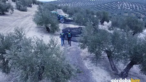 La Guardia Civil inspecciona la finca FOTO GUARDIA CIVIL