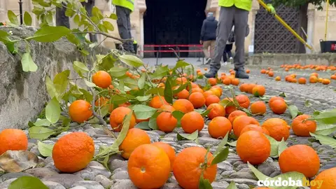 Recogida de naranjas en el Patio de Los Naranjos de la Mezquita-Catedral FOTO CABILDO