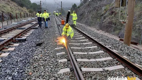 Varios operarios durante las obras de reparaci&oacute;n de las v&iacute;as en Adamuz, a 30 de enero de 2026, en Adamuz, en una imagen de archivo FOTO MINISTERIO DE TRANSPORTES Y MOVILIDAD SOSTENIBLE