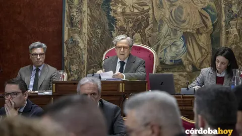 diputaci&oacute;n pleno
